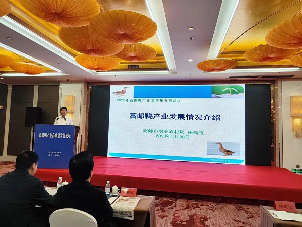 02 - ����.jpg