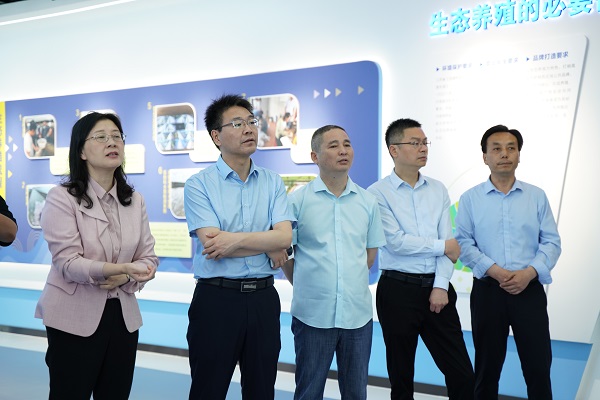 01 - ����.jpg