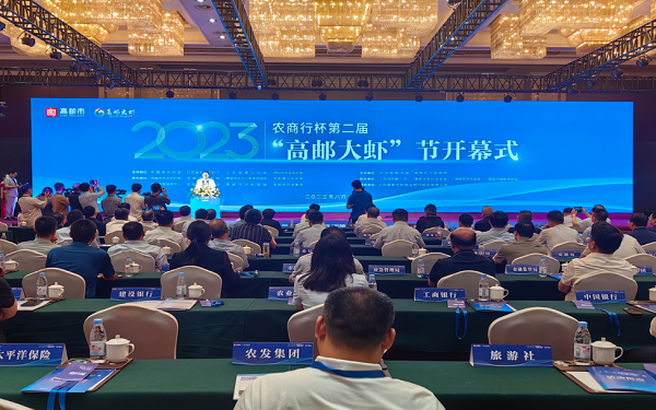 01 - ����.jpg