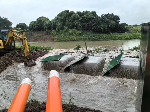 ����Ȟ����K����ʢ���Є� (2)_����.jpg