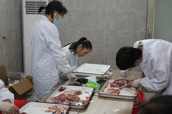 ���]�����F(tu��n)�_չ&ldquo;���]����(y��u)����(g��)�w���a(ch��n)���ܜy(c��)��&rdquo;���� (3)_����.jpg