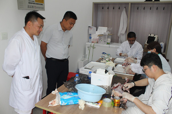 ���]�����F(tu��n)�_չ&ldquo;���]����(y��u)����(g��)�w���a(ch��n)���ܜy(c��)��&rdquo;���� (2)_����.jpg