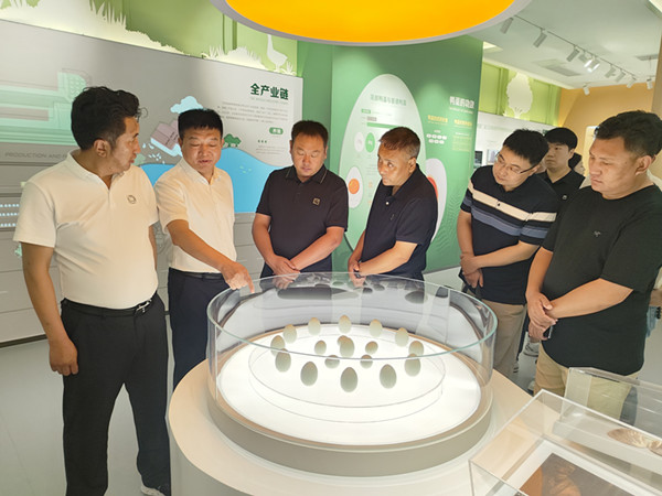 �_�տh�������F�������F���콻�� (2)_����.jpg